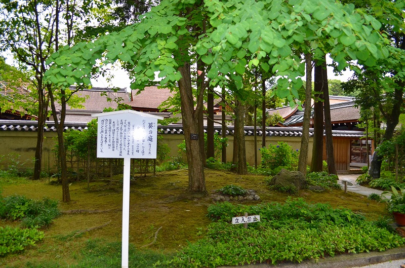 下鴨神社大炊殿(おおいどの)特別公開①_e0237645_165063.jpg