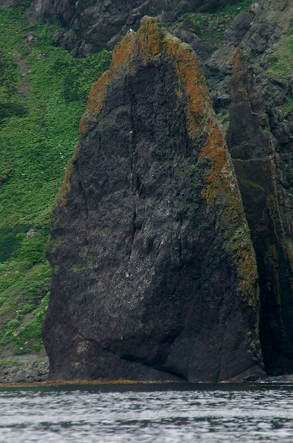 f0202445_0392111.jpg