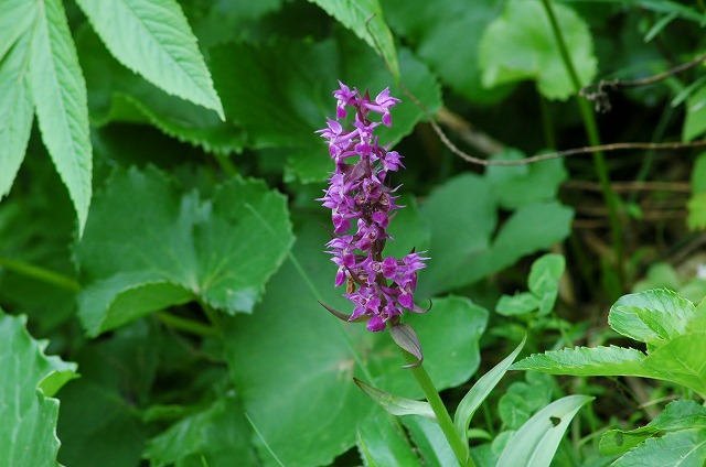 f0202445_0414258.jpg