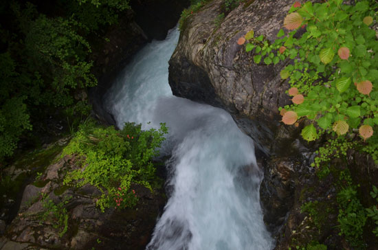 c0093046_7174949.jpg