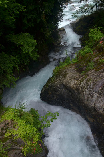 c0093046_718830.jpg