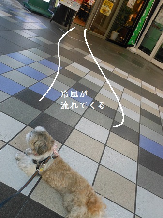 c0261346_21343037.jpg