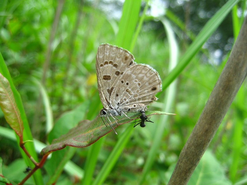 a0235150_95016.jpg
