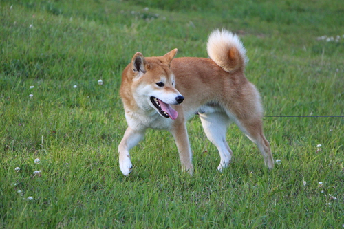 f0245650_8325642.jpg