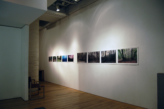 7/13スタート井上廣子展 コレクション展_a0071956_21274069.jpg