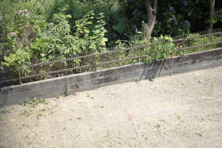 b0087456_108520.jpg