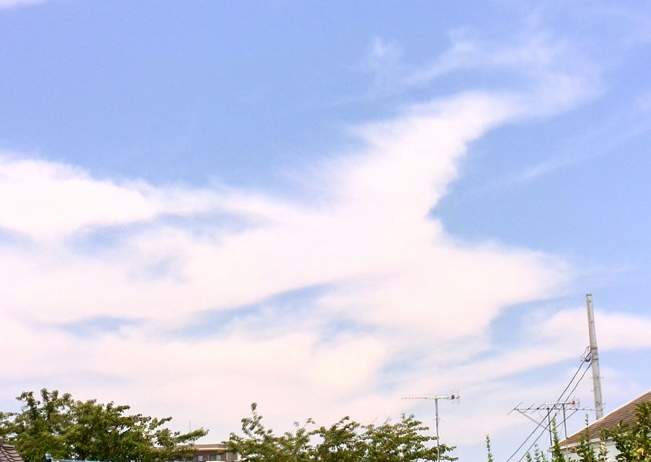 a0137279_2295580.jpg