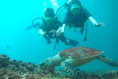 大物に遭えるか?!ピピ島!!_f0144385_21581167.jpg