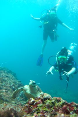 大物に遭えるか?!ピピ島!!_f0144385_2204489.jpg