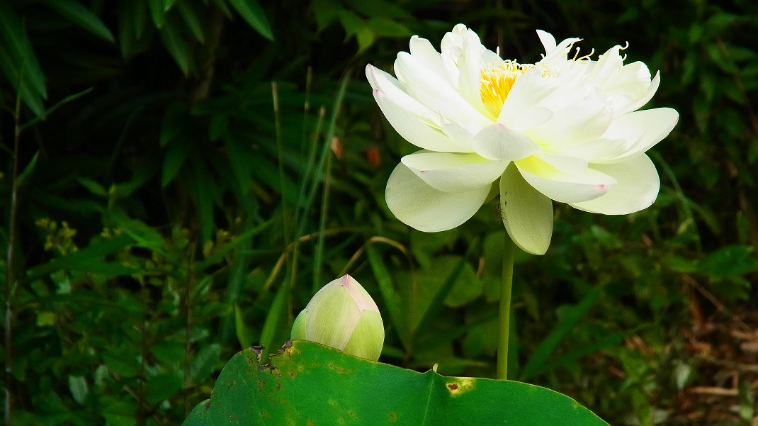 a0152692_20121076.jpg