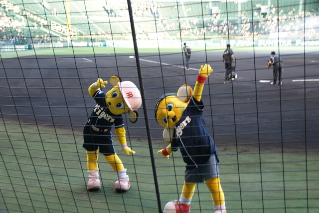 d0181492_1736364.jpg