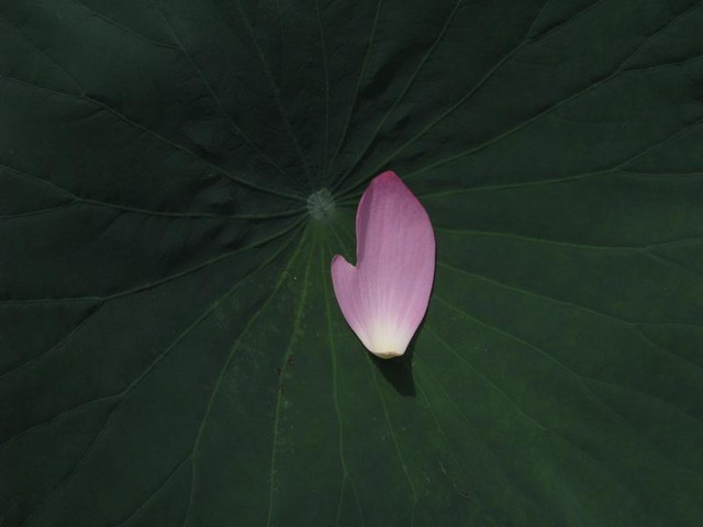f0022292_10362795.jpg