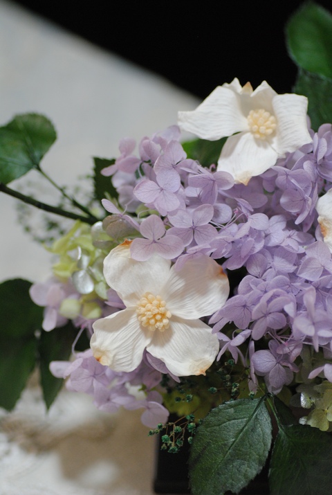7月のロゼブランシェ_c0195496_12455813.jpg