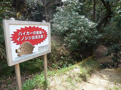 六甲全山縦走路　１０　妙法寺から高取山３２０ｍ_b0051598_23144257.jpg