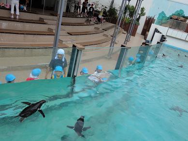 すみれぐみ水族館へ_c0212598_16192430.jpg