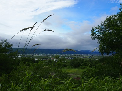 f0254105_9131444.jpg