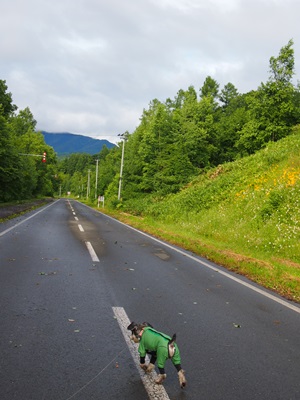 f0254105_92497.jpg