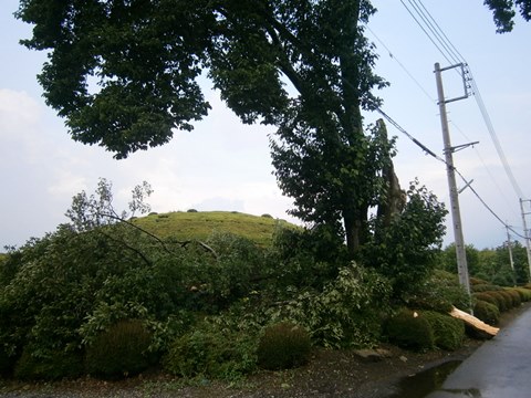 a0145207_7541143.jpg
