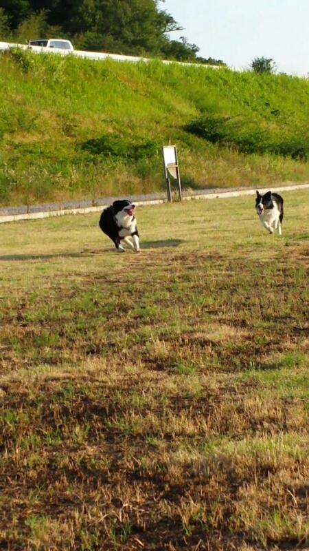 f0246611_834970.jpg