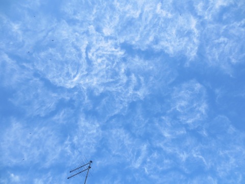 f0133814_17505795.jpg
