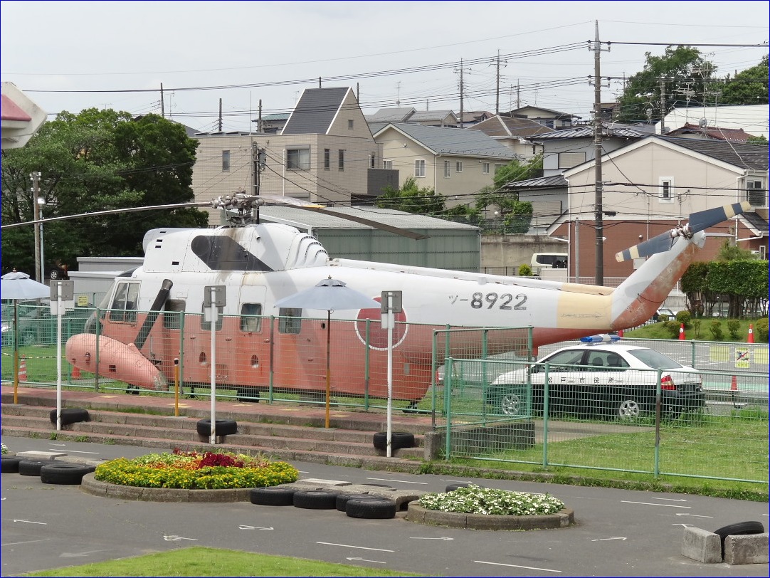 交通 公園 ユーカリ
