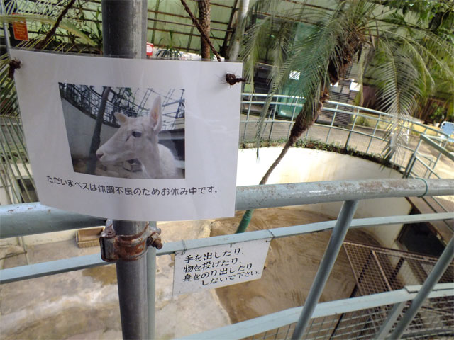 成長早すぎ!_a0179837_14572032.jpg