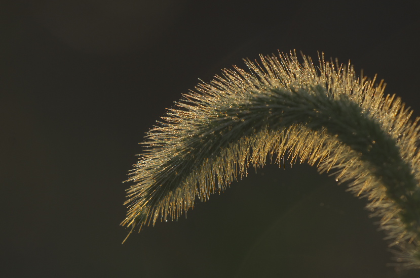 d0138737_6151114.jpg
