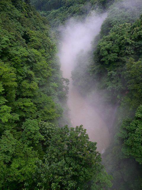 晴耕雨読_c0176838_19174847.jpg