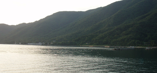 b0169939_17361738.jpg