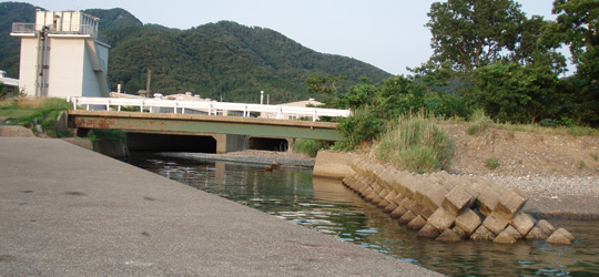 b0169939_17385318.jpg