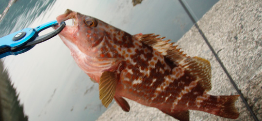 b0169939_17422423.jpg