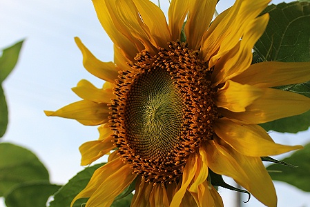 a0243143_19511967.jpg