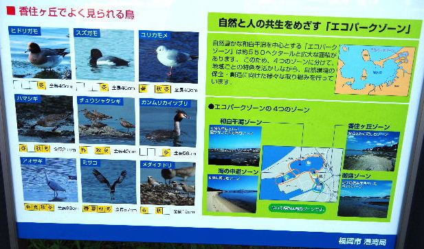 【散策コース研究】　香椎海岸遊歩道と周回ルート_c0011649_023456.jpg