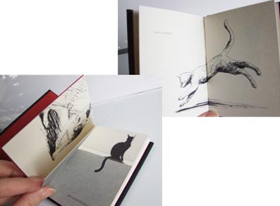 Handmade books_c0134749_1522213.jpg