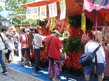 下町の夏の風物詩 （NAKA）_b0008058_143152.jpg