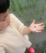 自然の中で ゆったり 子どもを見守る_e0114963_1035499.jpg