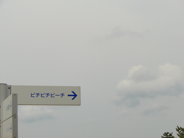 c0001670_23514234.jpg