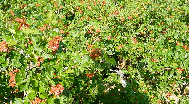 d0260278_1063947.jpg