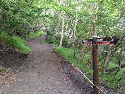 d0262778_6181017.jpg
