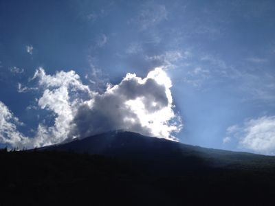 d0262778_6182839.jpg