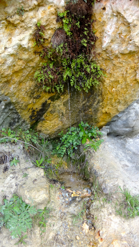 2013/05/20 Trail Running in Cuenca day.2_b0220886_2072076.jpg