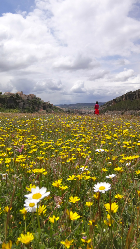 2013/05/20 Trail Running in Cuenca day.2_b0220886_20983.jpg