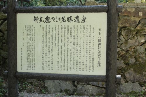 b0284387_8111598.jpg