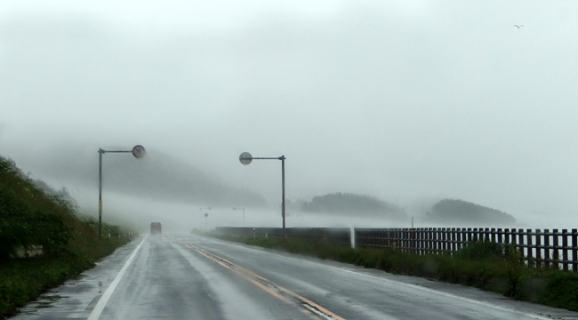 雨と霧の西海岸ドライブ＾＾_a0136293_18104154.jpg