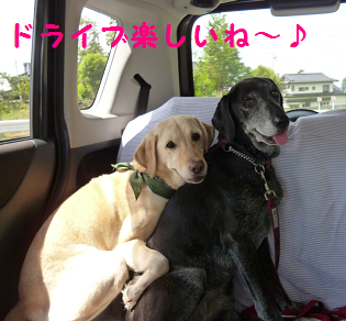 d0282395_2241415.png