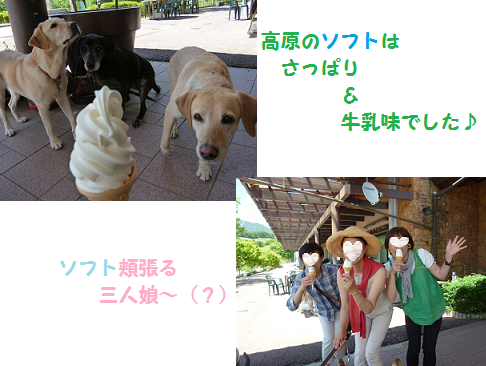 d0282395_225842.png