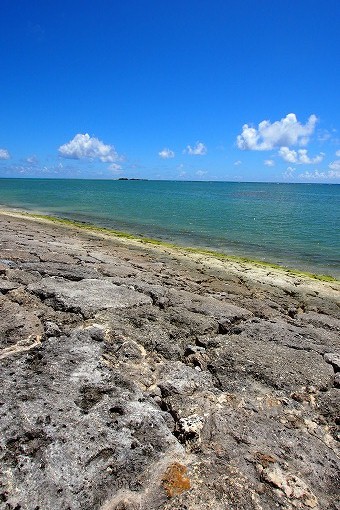 e0160595_16241668.jpg