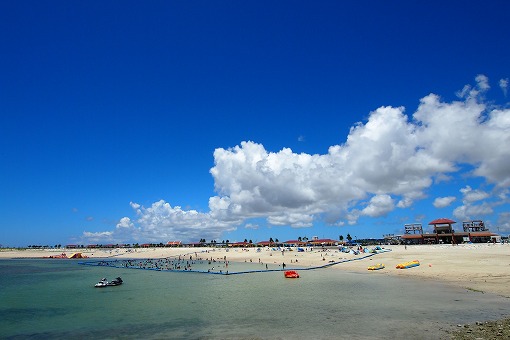 e0160595_1624317.jpg