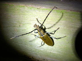 e0083097_14305.jpg