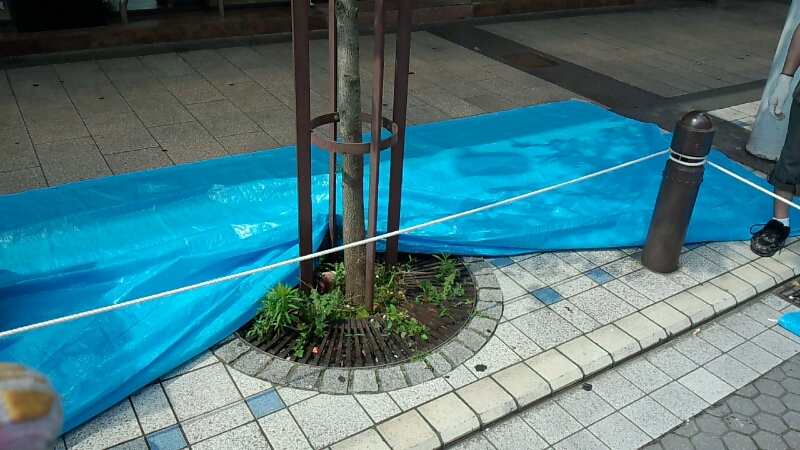 2013　久里浜花火大会　久里浜ペリー来航160年！_d0092901_10105754.jpg